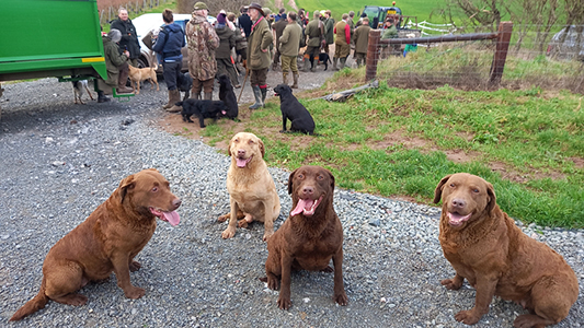 Baymoss Tweed Of Penrose