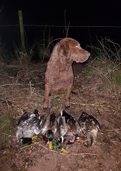 Penrose Ripple My Fancy