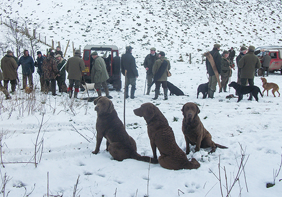 Penrose shooting day