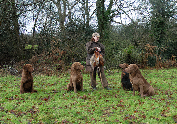 Penrose shooting day